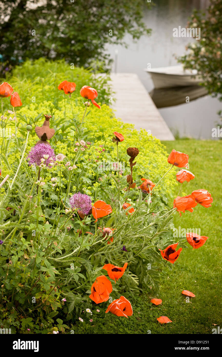 Poppies in garden hi-res stock photography and images - Alamy