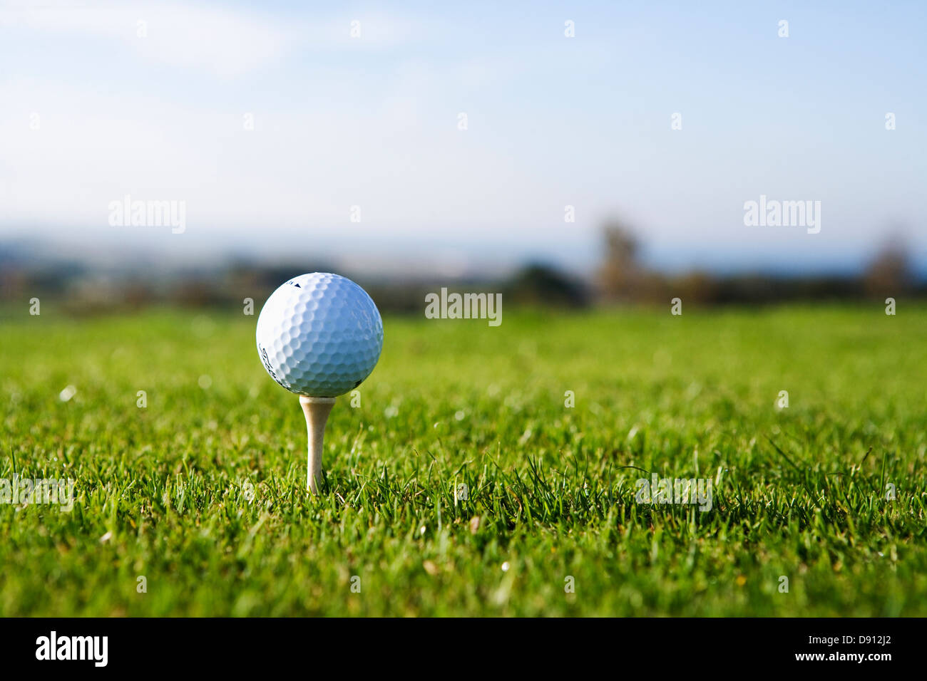 Golfball on peg, close-up. Stock Photo