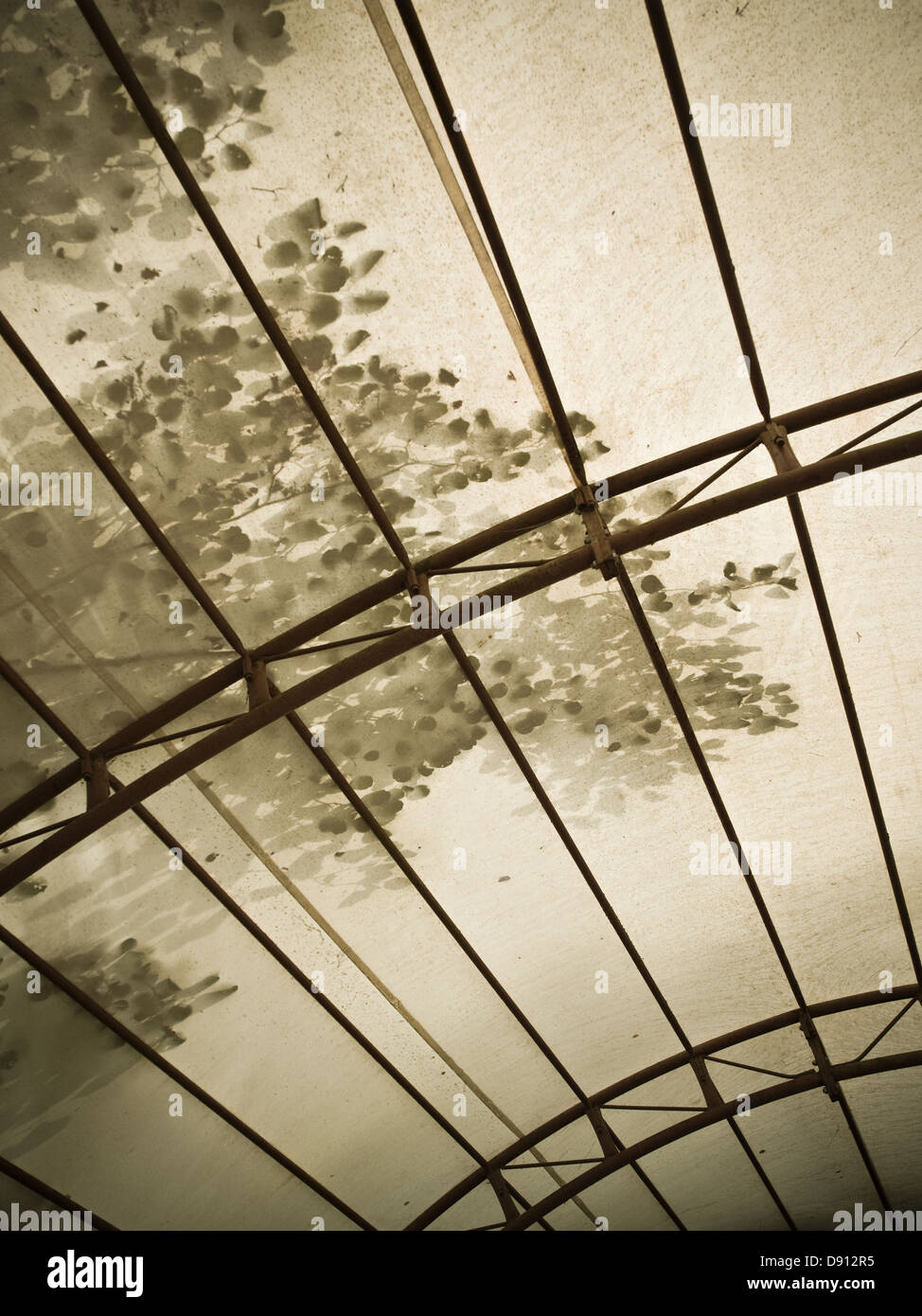 Ceiling of a canoe store room, Sweden Stock Photo Alamy