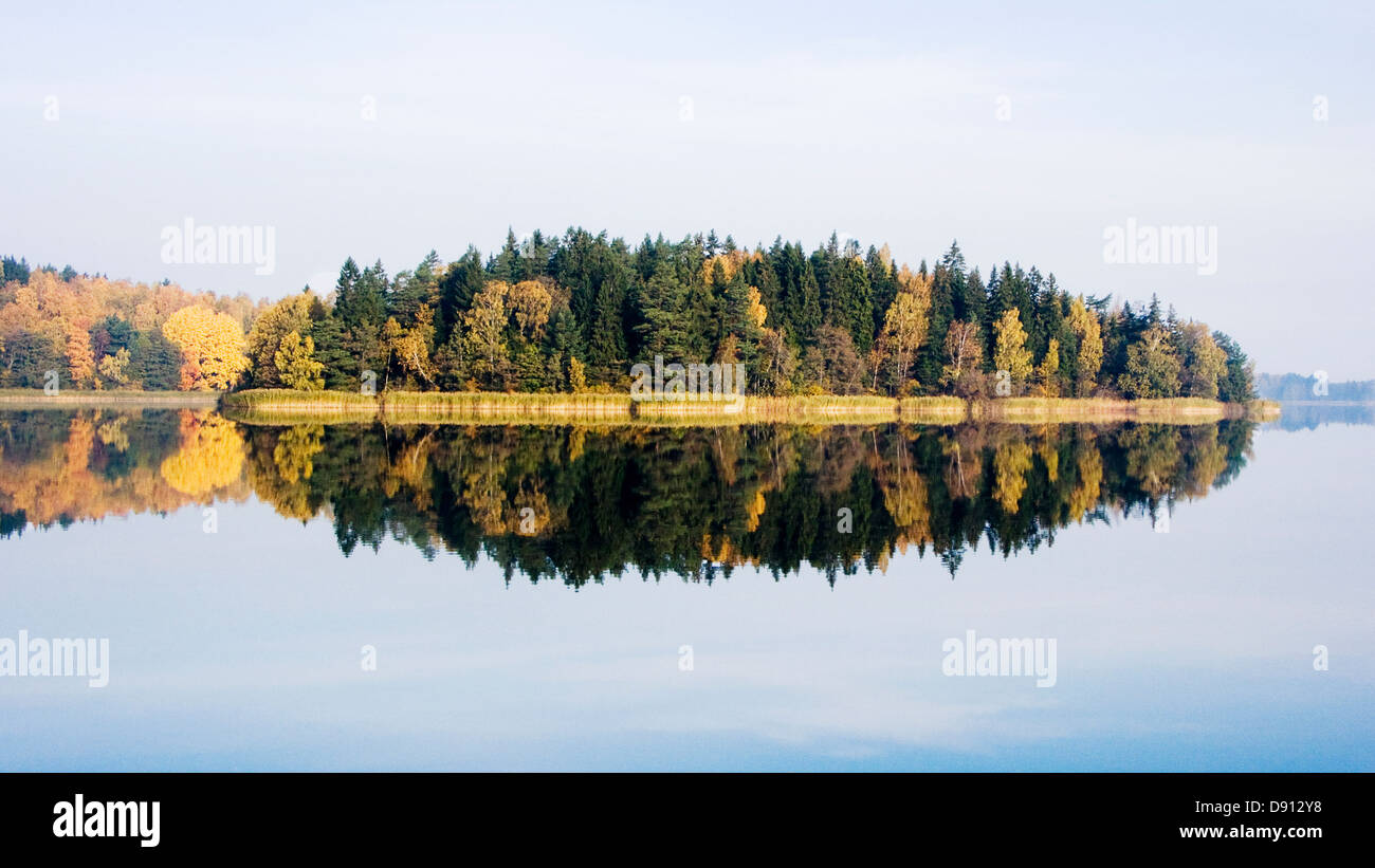 Autumn forest reflecting in lake Stock Photo - Alamy