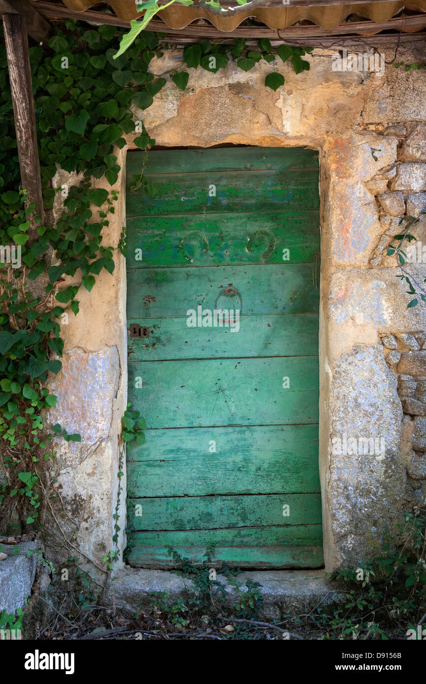 Green door in stone wall Stock Photo