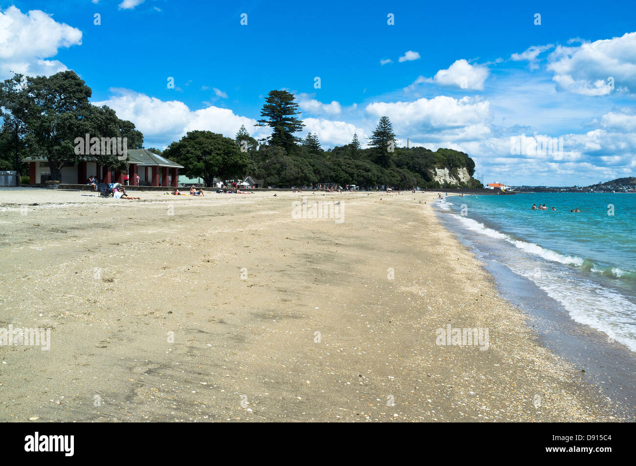 dh Beach AUCKLAND MISSION BAY NEW ZEALAND NZ Sea gull and sand beach shoreline beaches Stock Photo