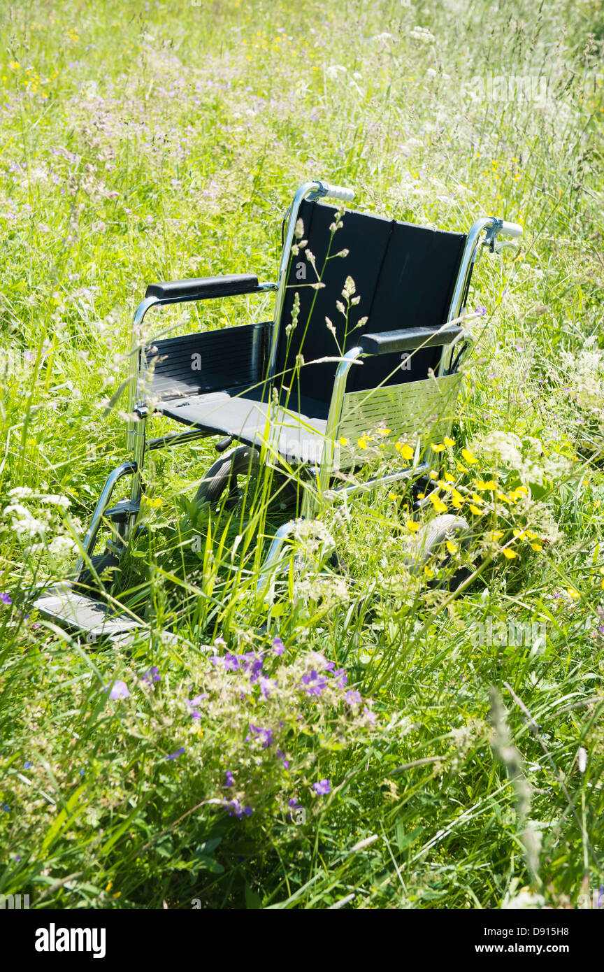 Wheelchair in tall grass Stock Photo Alamy