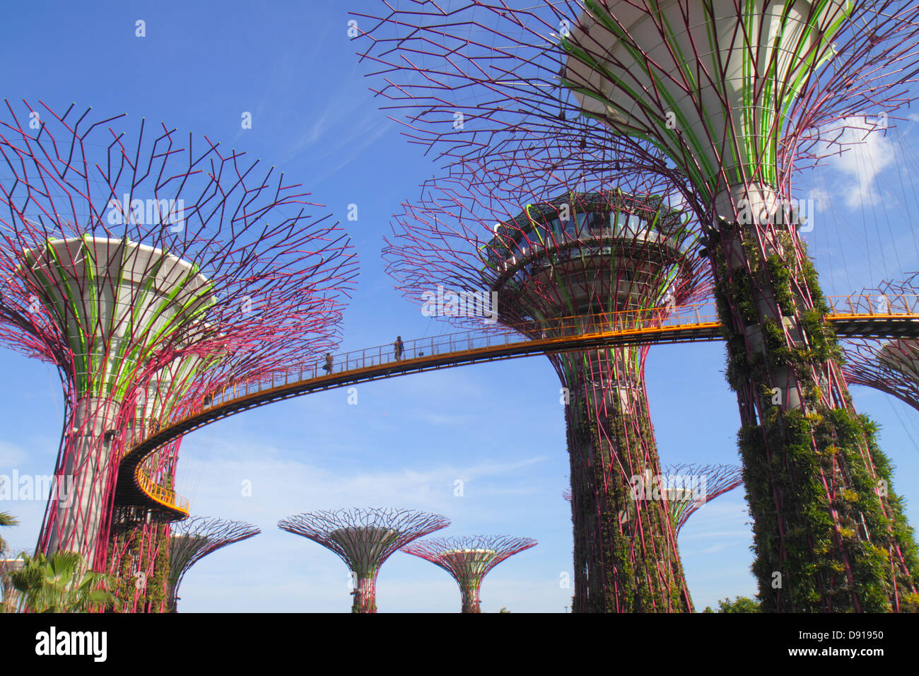 Singapore Gardens by the Bay,park,Supertrees,elevated walkway,Sing130202175 Stock Photo