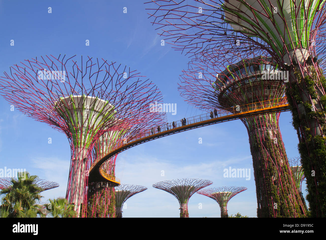 Singapore Gardens by the Bay,park,Supertrees,elevated walkway,Sing130202177 Stock Photo