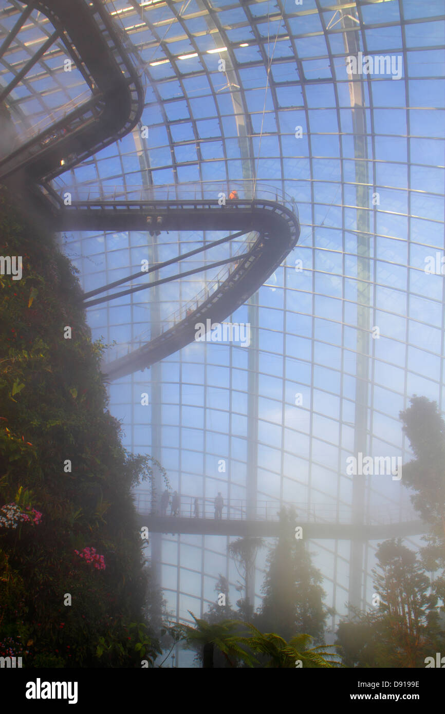 Singapore Gardens by the Bay,park,Cloud Forest,mountain,greenhouse,mist,fog,elevated walkway,Sing130202189 Stock Photo