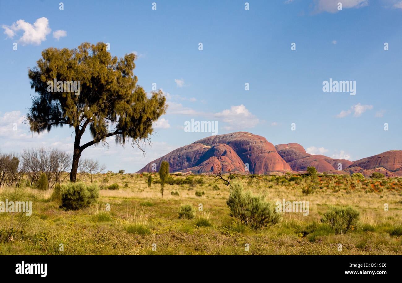 Kata Tjuta in the Australian outback Stock Photo