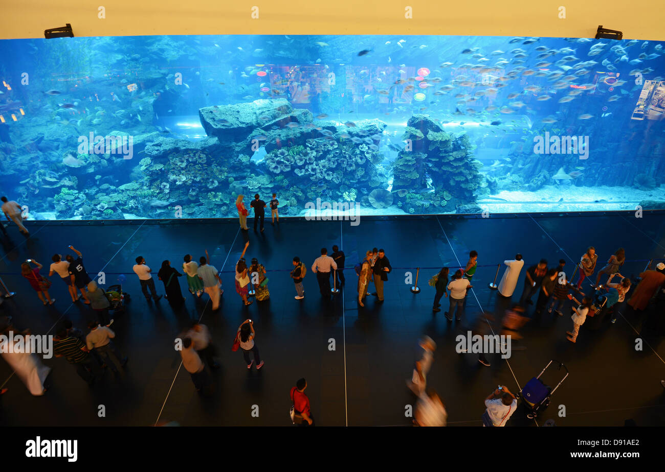 Dubai Mall Aquarium, people at the aquarium at The Dubai Mall, Dubai, United Arab Emirates Stock Photo