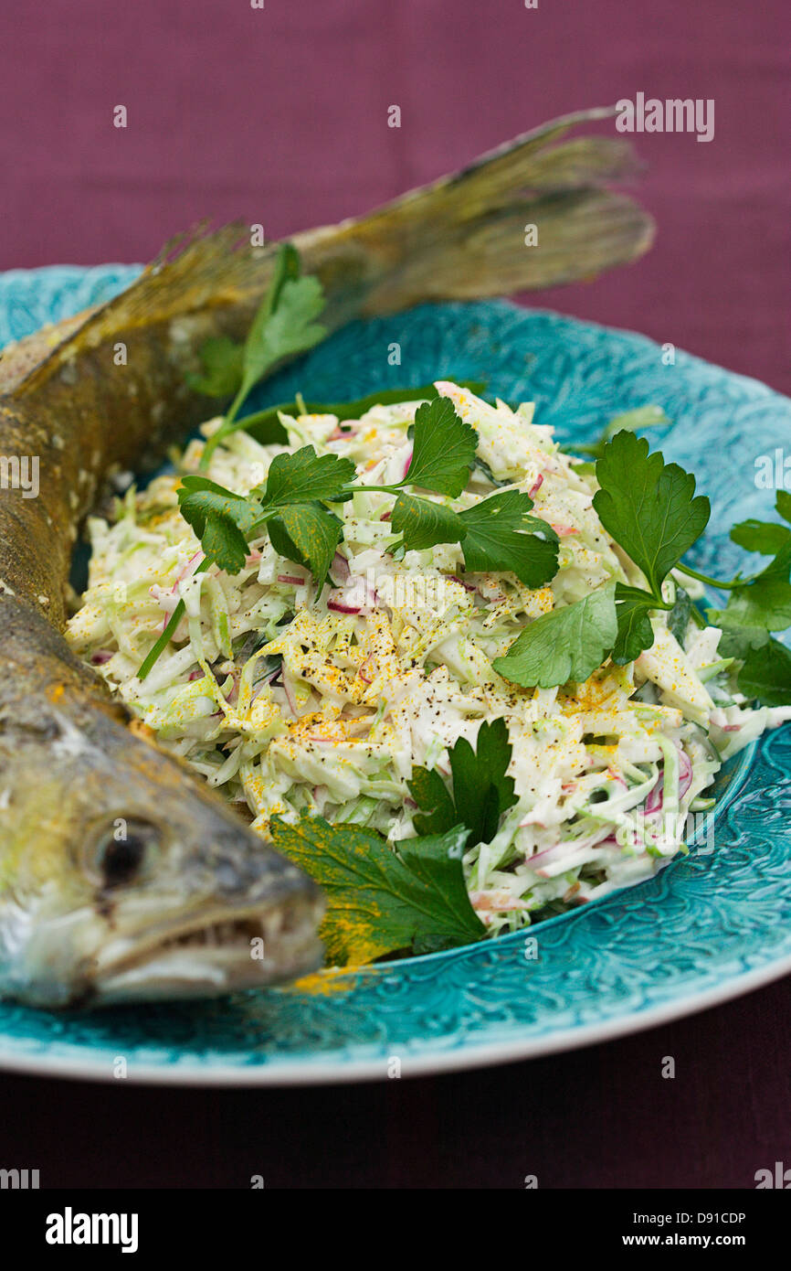 Pike-perch roasted whole and coleslaw, Sweden. Stock Photo