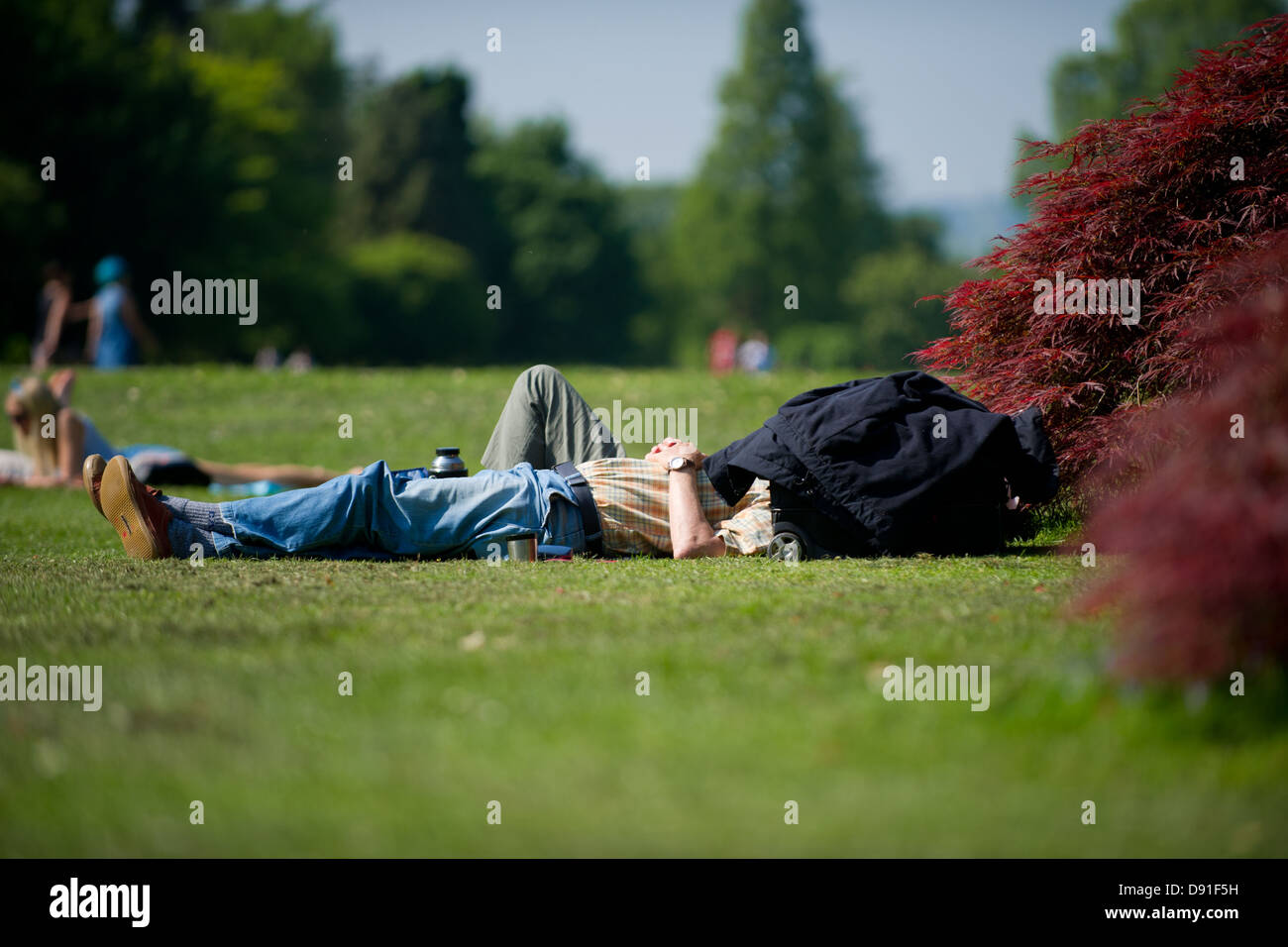 A man protects his head from the sun while sunbathing in Bute Park, Cardiff, UK, on a hot summer's day. Stock Photo
