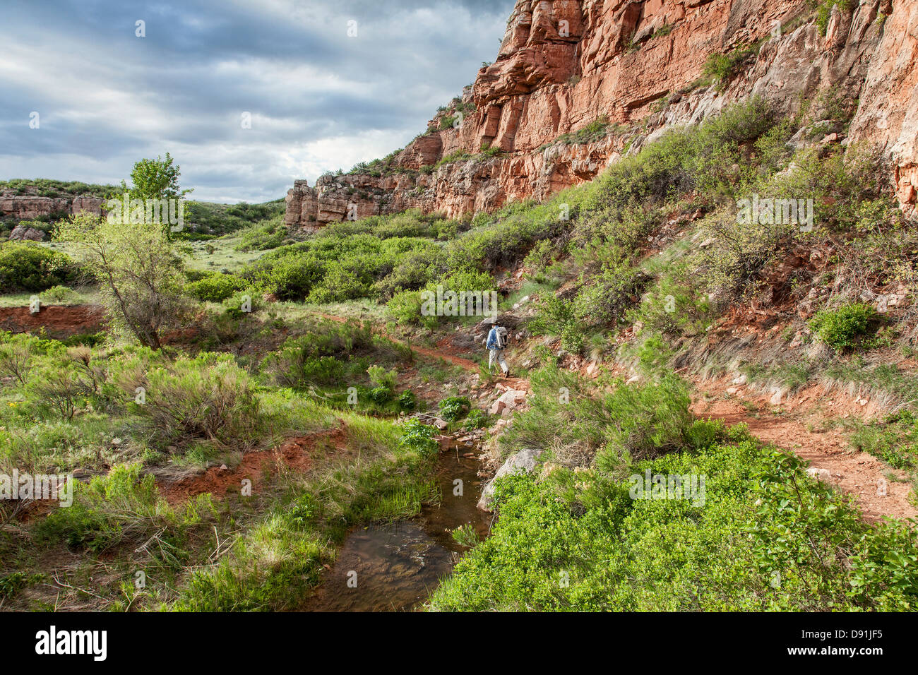 senior male backpacker hiking through sandstone canyon with a stream and green lush vegetation, Stock Photo