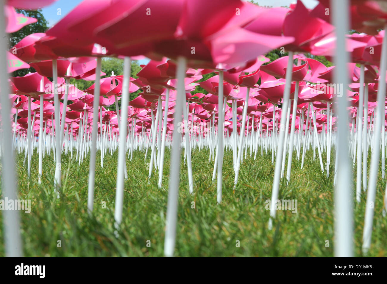 000 flowers hyde park hires stock photography and images Alamy