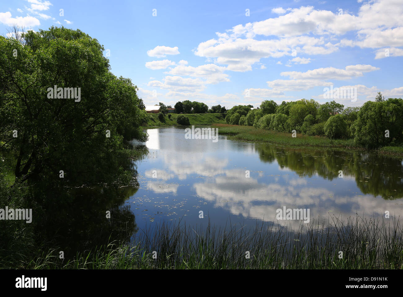 central Russia ordinary summer landscape Stock Photo - Alamy