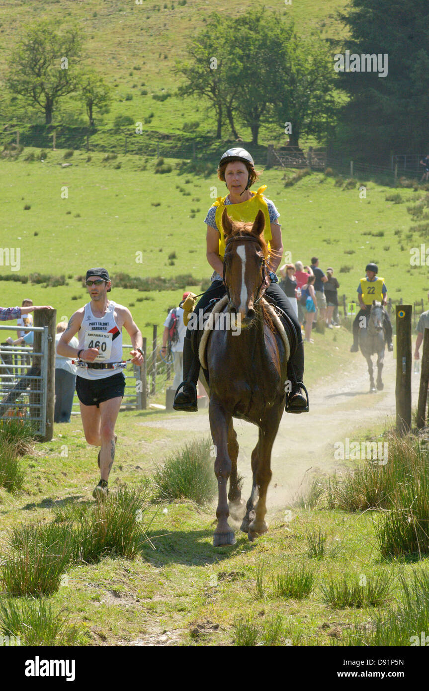 Llanwrtyd Wells, UK. 8th June 2013. Over 400 runners compete against 65 horses in the Man V Horse 23 mile marathon, over gruelling mountainous terrain.The event was conceived by Gordon Green at his pub the Neuadd Arms in 1980 upon overhearing a discussion whether a man was equal to a horse running cross country over distance. The cash prize for beating a horse was increased each year by £1,000 until Huw Lobb won £25,000 in 2004 beating the first horse by 2 mins with a time of 2:05:19. Credit: Graham M. Lawrence/Alamy Live News. Stock Photo
