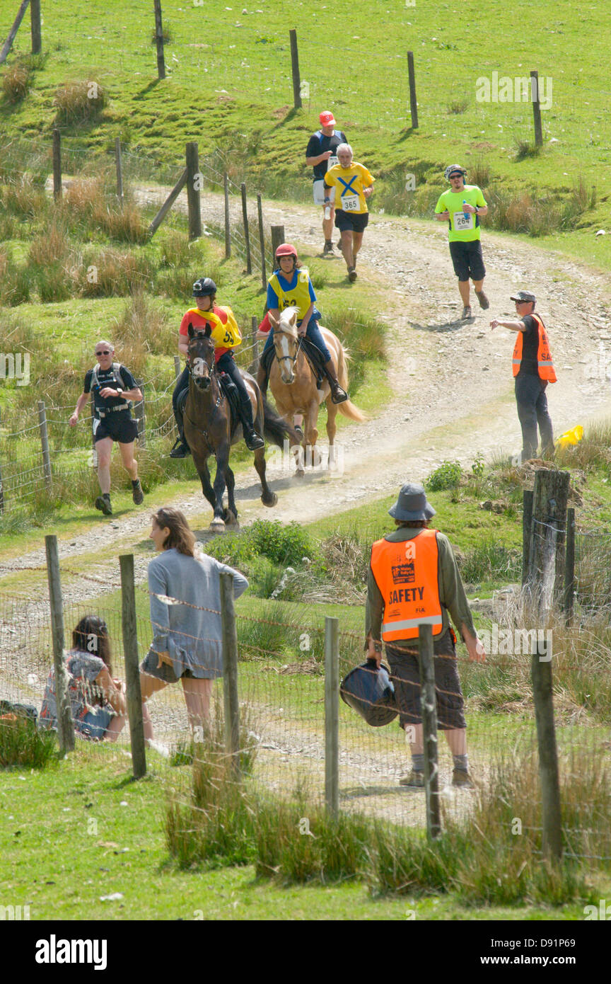 Llanwrtyd Wells, UK. 8th June 2013. Over 400 runners compete against 65 horses in the Man V Horse 23 mile marathon, over gruelling mountainous terrain.The event was conceived by Gordon Green at his pub the Neuadd Arms in 1980 upon overhearing a discussion whether a man was equal to a horse running cross country over distance. The cash prize for beating a horse was increased each year by £1,000 until Huw Lobb won £25,000 in 2004 beating the first horse by 2 mins with a time of 2:05:19. Credit: Graham M. Lawrence/Alamy Live News. Stock Photo