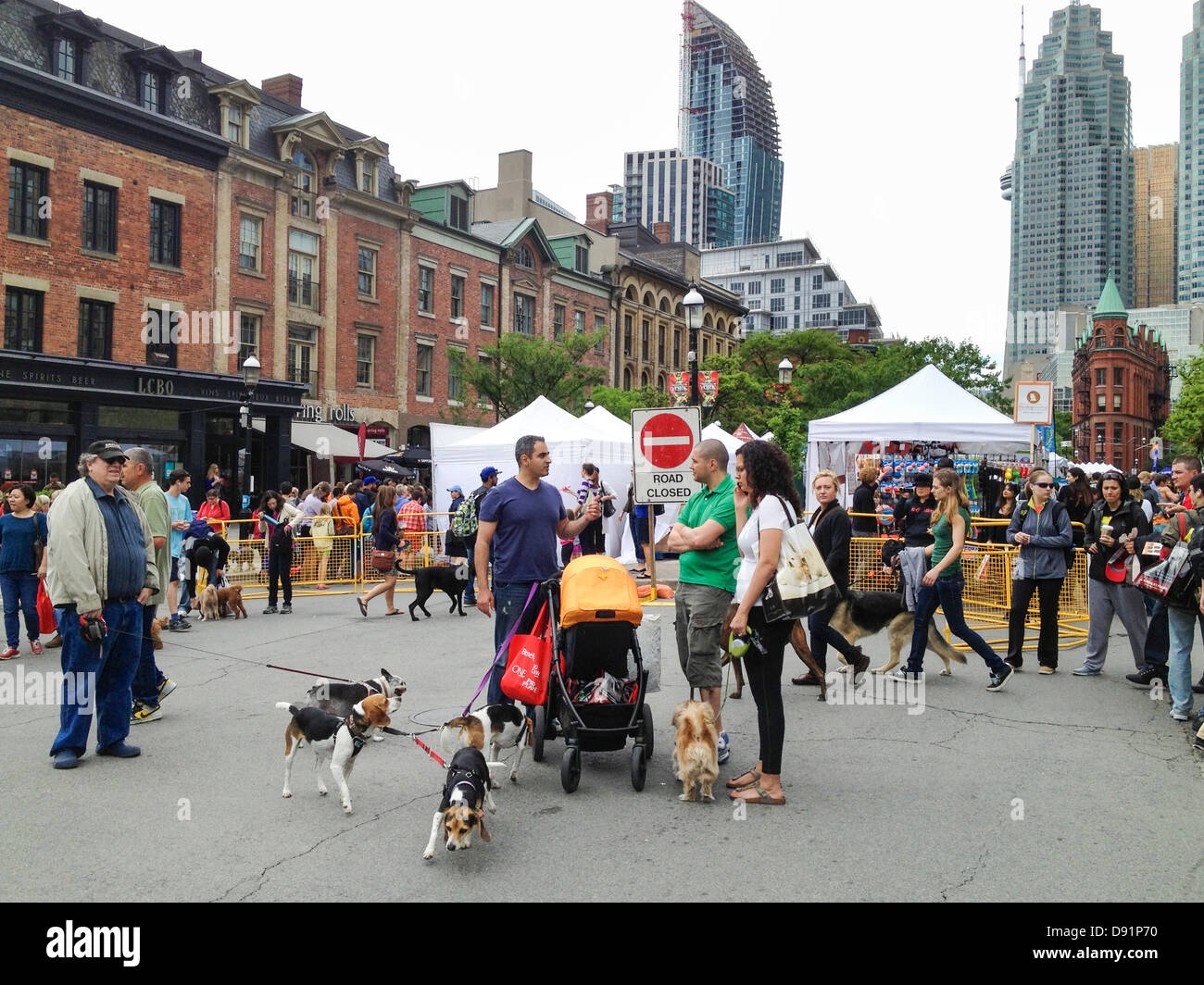 Toronto, Canada, June 8, 2013. Dogs and owners enjoying 10th
