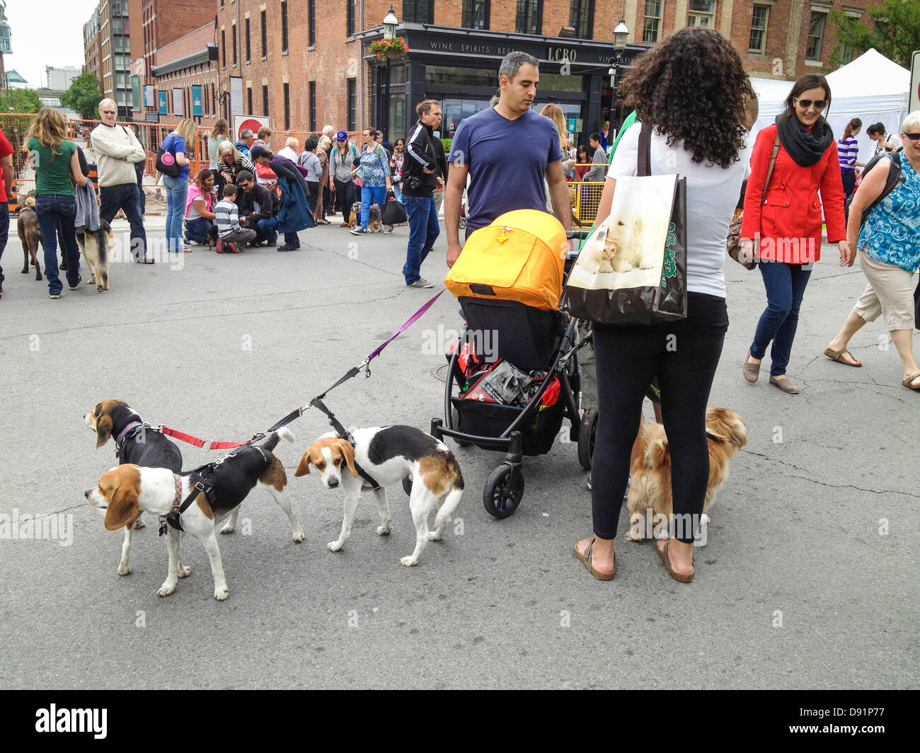 Toronto, Canada, June 8, 2013. Dogs and owners enjoying 10th