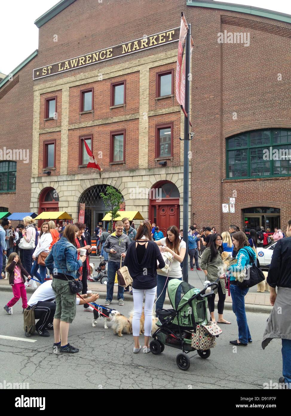 Toronto, Canada, June 8, 2013. Dogs and owners enjoying 10th