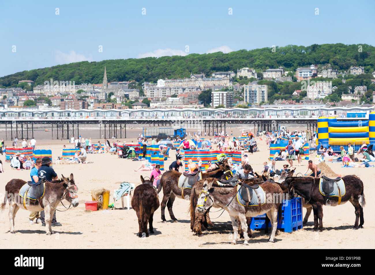 Donkeys And People High Resolution Stock Photography and Images - Alamy