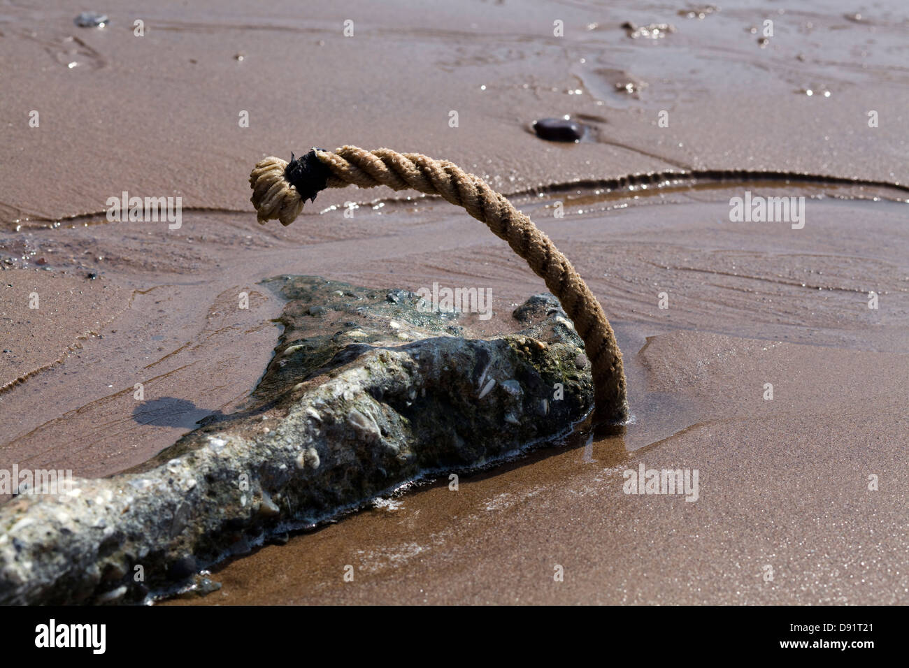 Old Rope at low tide on a Beach in Devon England Stock Photo