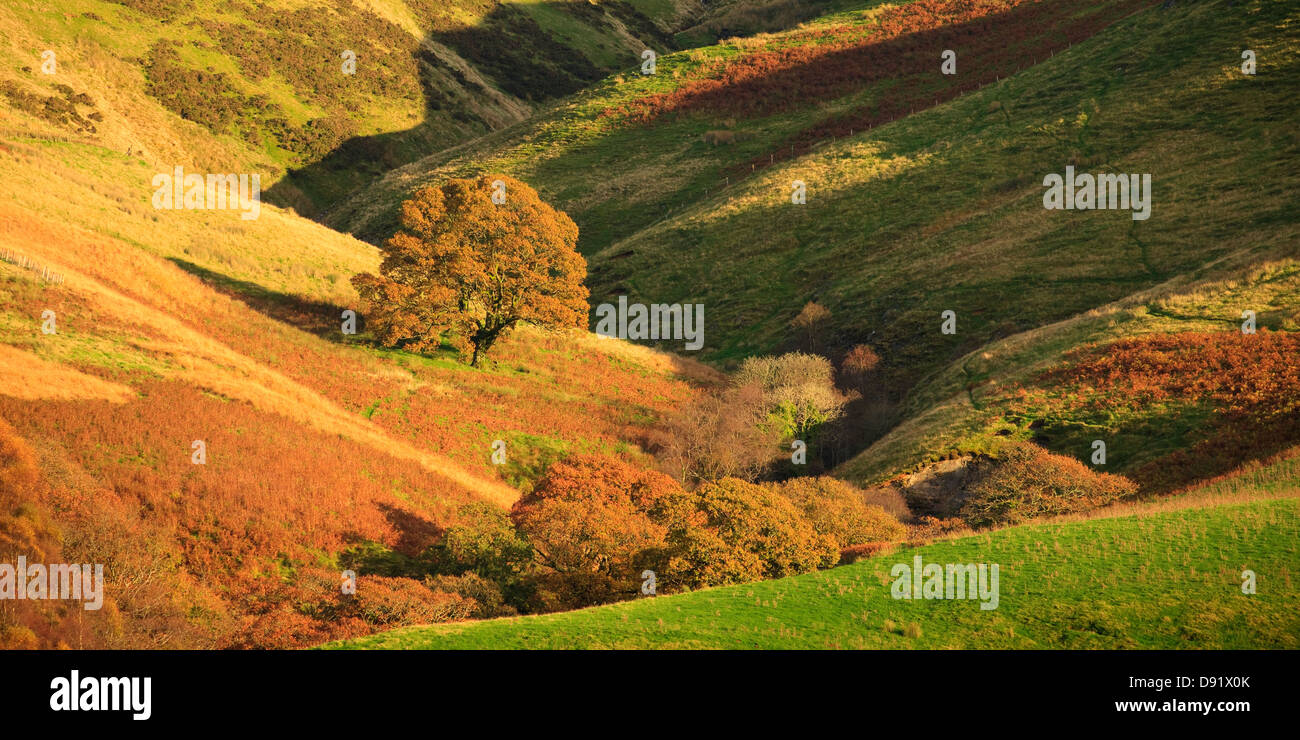 Autumn in rural countryside Tywi Valley Carmarthenshire Wales Stock Photo