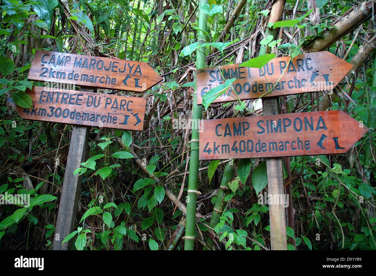 Signs indicating directions and distances on trails within Marojejy National Park, Madagascar Stock Photo