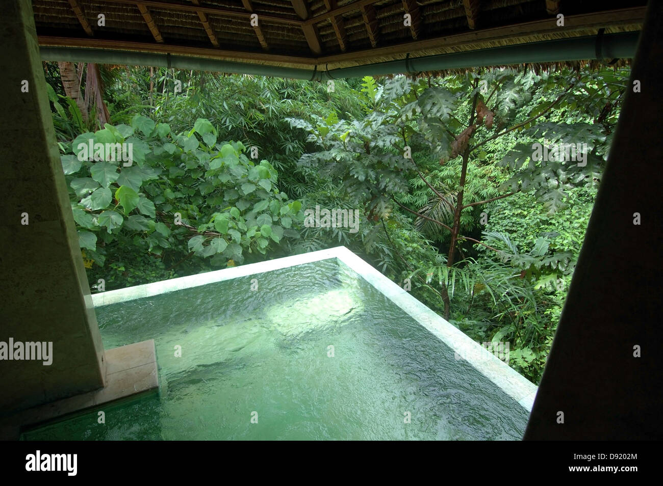 Balinese spa with tropical jungle canopy view, Ubud, Bali, Indonesia. No PR  Stock Photo - Alamy
