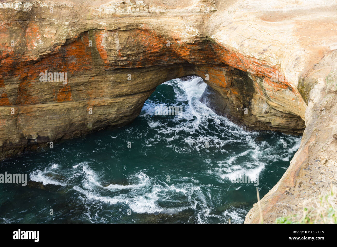 Oregon, Otter Rock, Devils Punch Bowl State Park. Water washes through