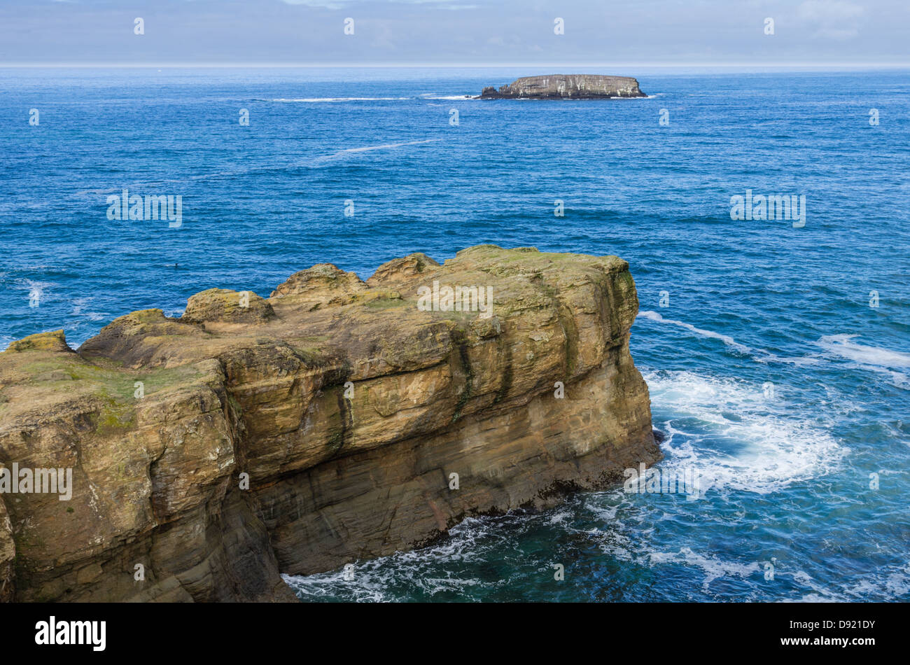 Otter Rock Oregon United States. Gull Rock off the Oregon coast is part