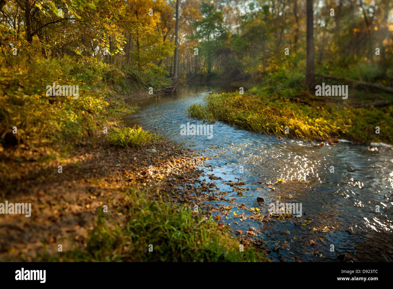 Big Darby Creek Stock Photo Alamy
