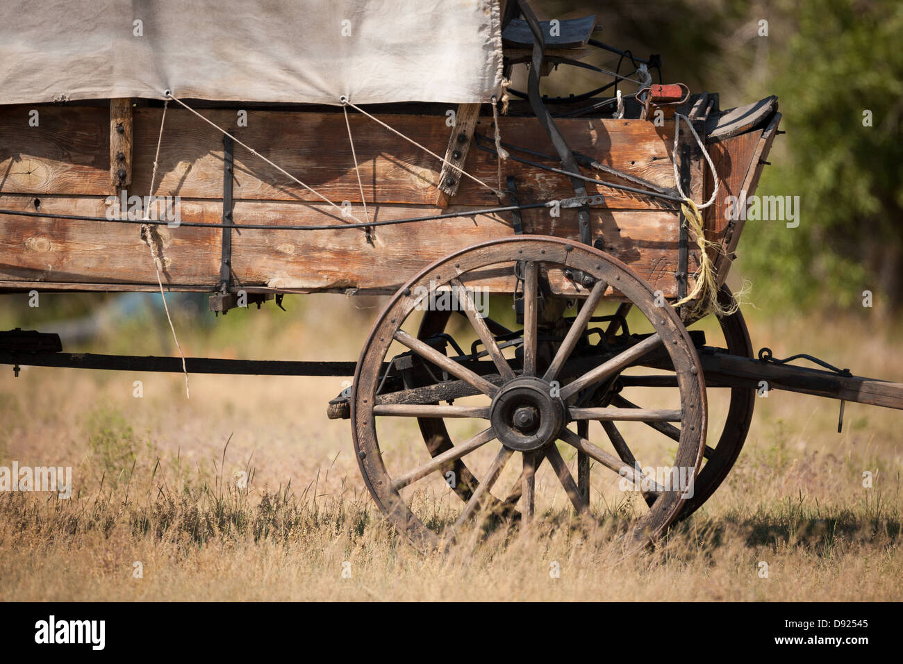 Conestoga Wagon Stock Photo Alamy