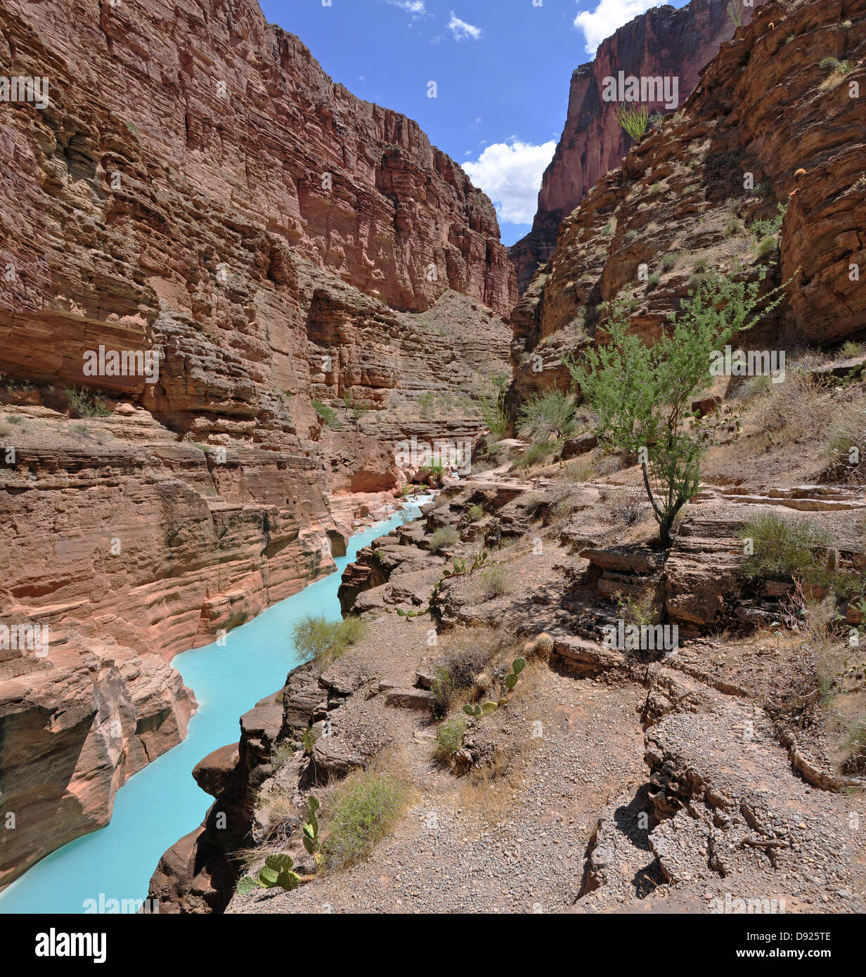 The blue-green water of Havasu Creek at the confluence with the Colorado River at river mile 157 in the Grand Canyon National Park. The turquoise color is caused by water with a high mineral content. Stock Photo