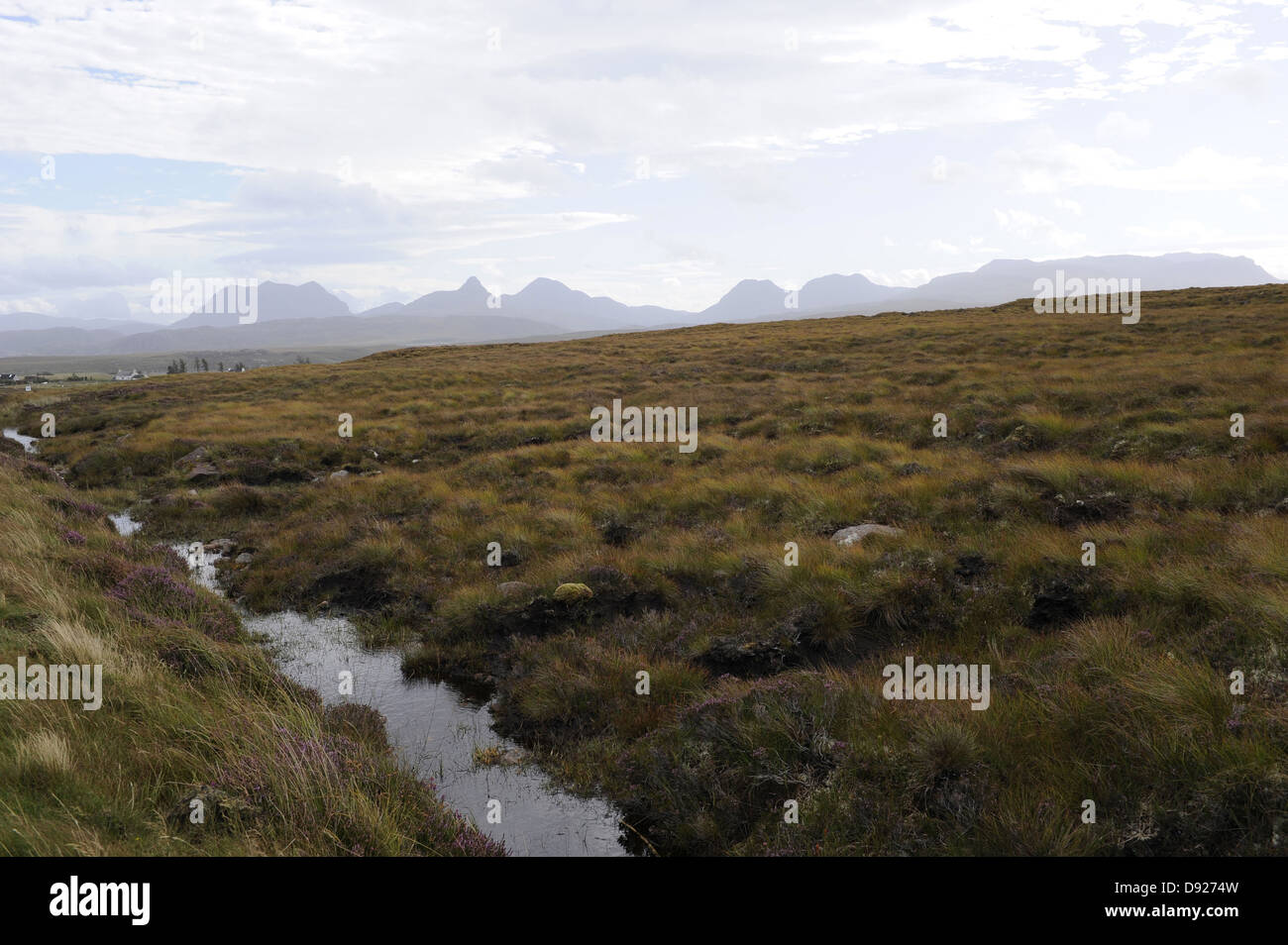 Highmoor, Northern Highlands, Scotland, Great Britain Stock Photo