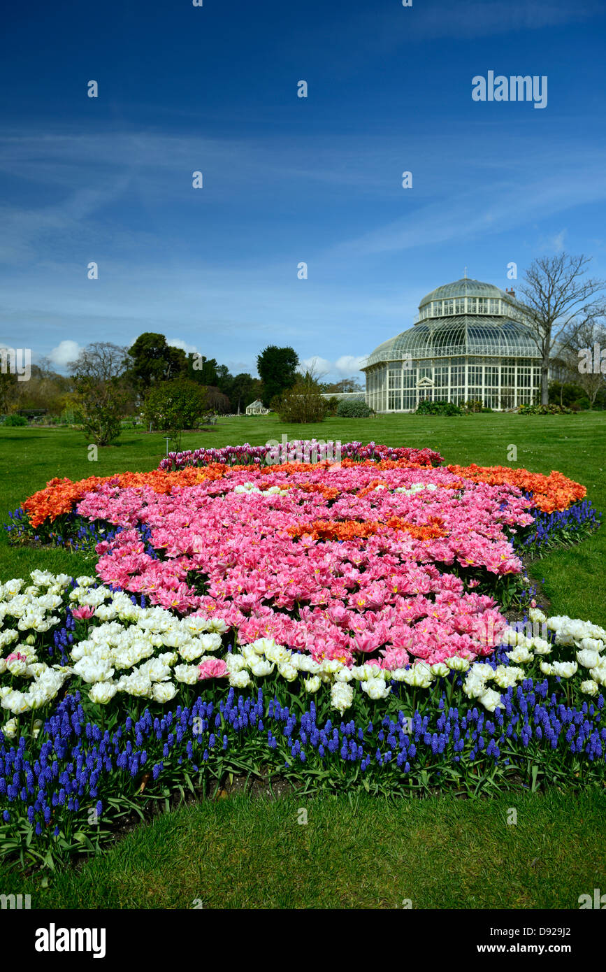 James Joyce portrait flowerbed tulips botanic gardens dublin ireland glasnevin bloomsday iconic