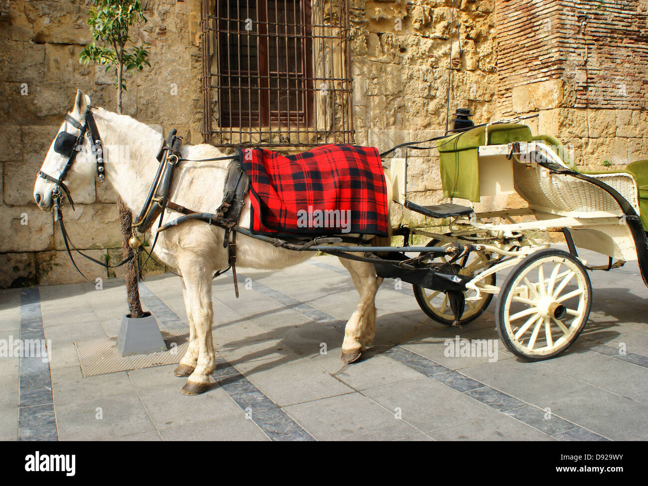 Traditional horse and cart at Cordoba in Spain Stock Photo Alamy