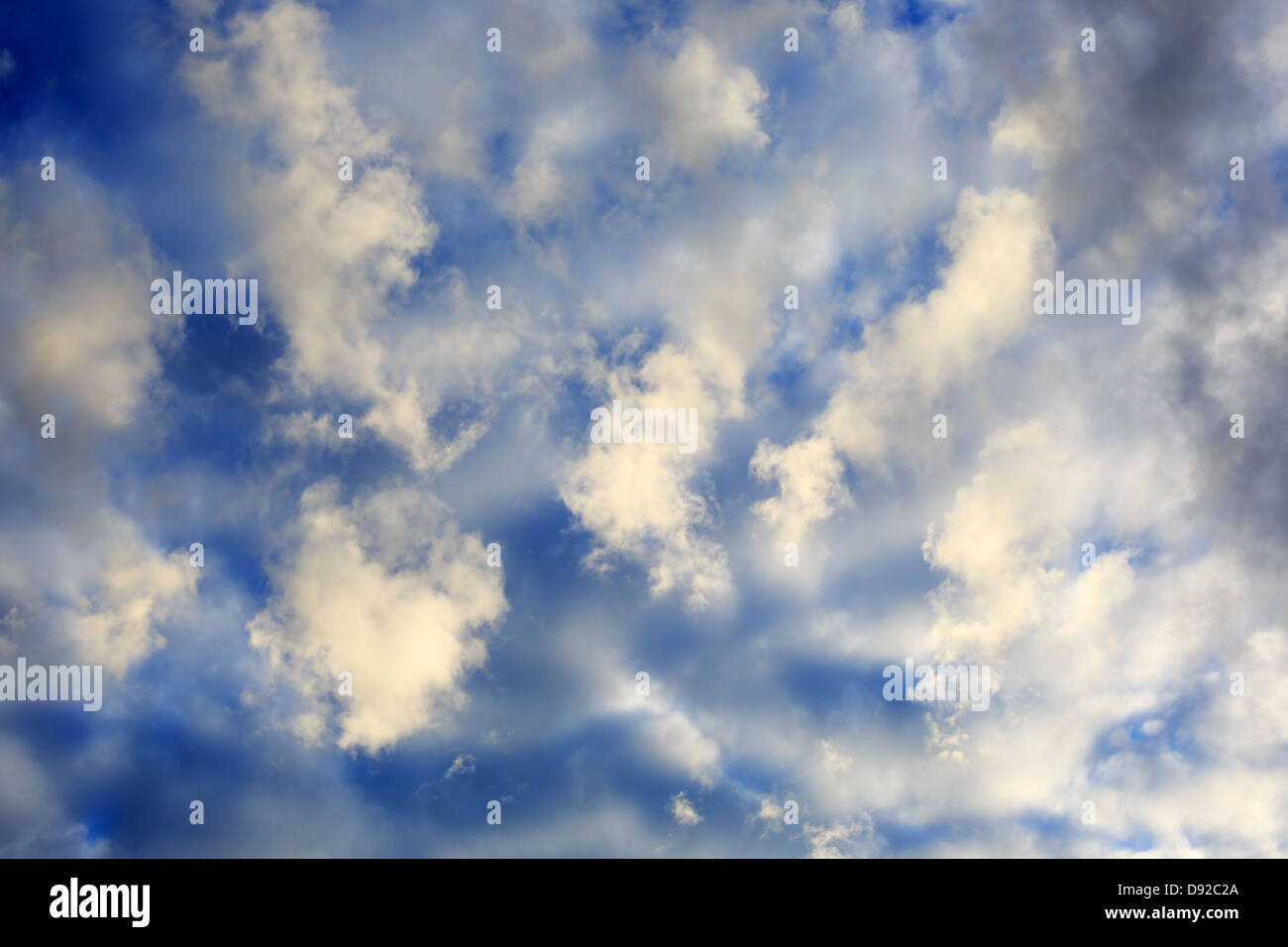 Horizontally framed view of some early morning clouds overhead. Stock Photo