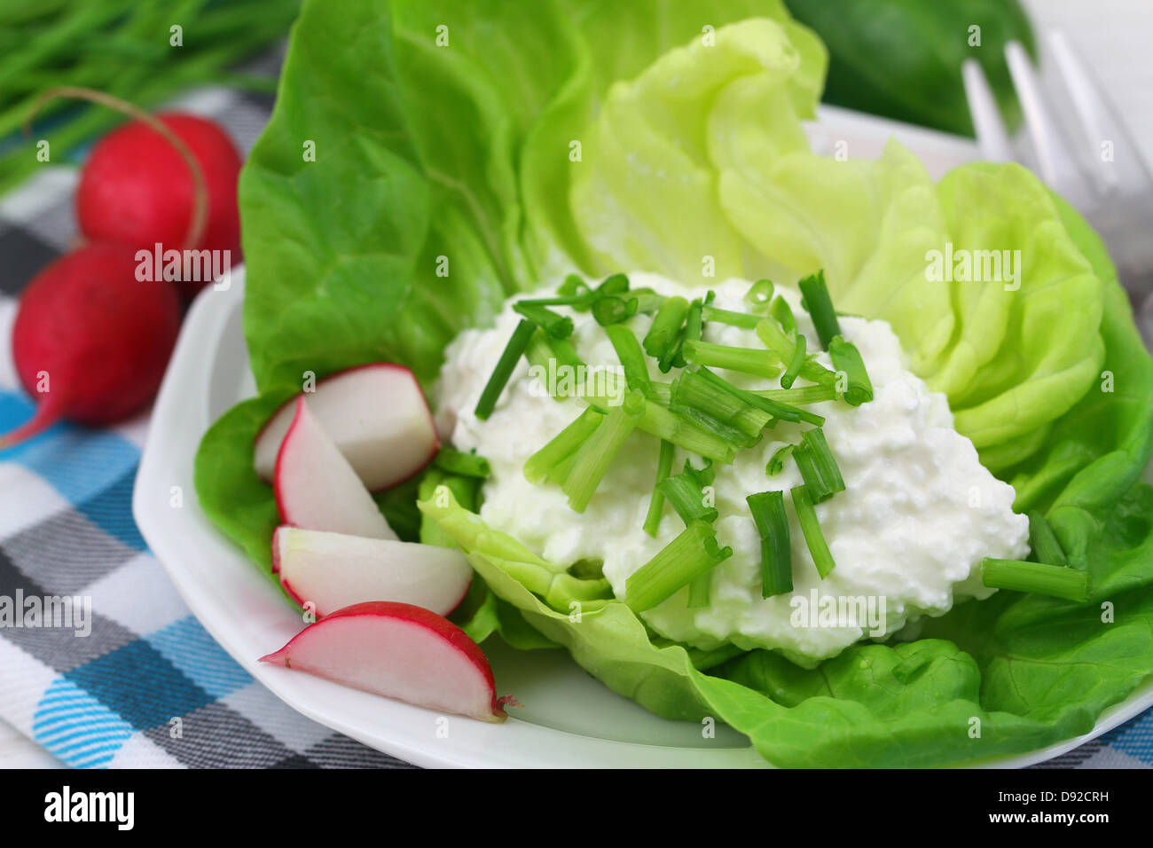 Healthy breakfast of cottage cheese with chives and radish Stock Photo