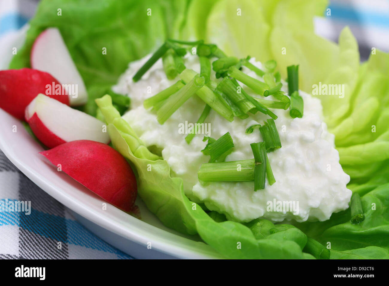 Healthy breakfast of cottage cheese with chives and radish Stock Photo