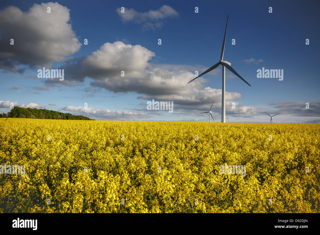 Windfarm South Yorkshire Stock Photo