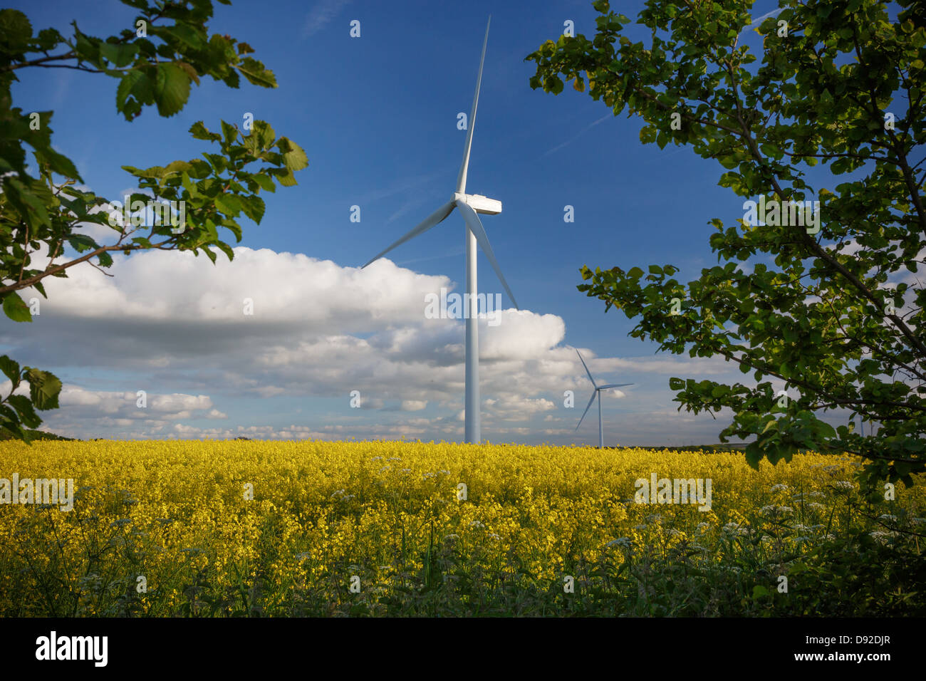Windfarm - M1/M18 South Yorkshire Stock Photo