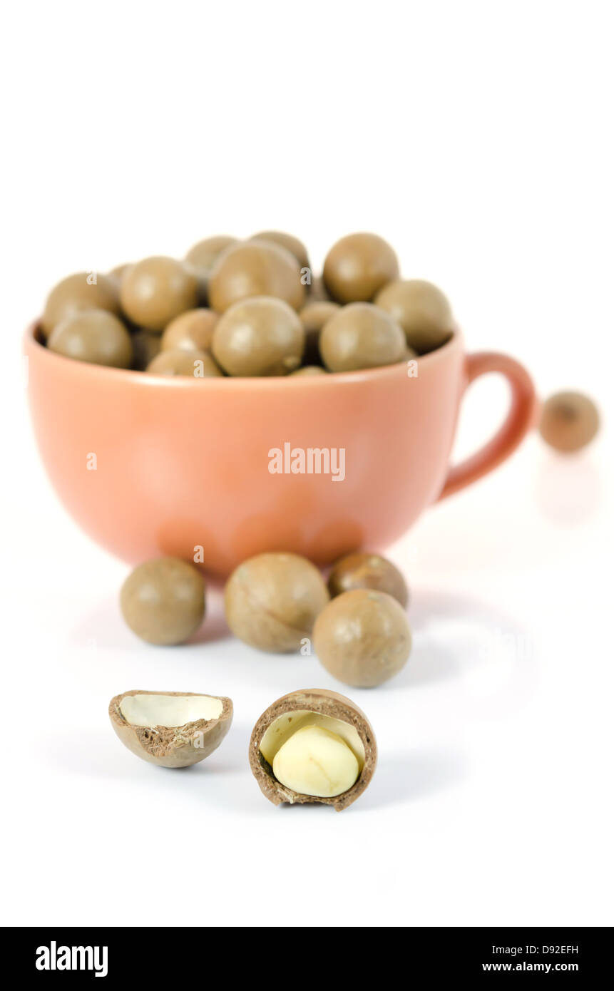 close up shelled macadamia nut on white background Stock Photo
