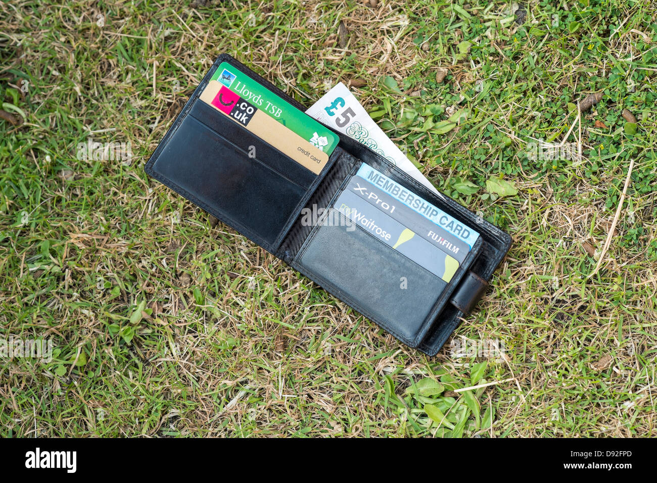 Wallet with credit cards and money dropped on grass Stock Photo