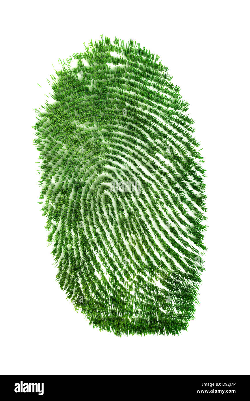 Fingerprint of grass Stock Photo