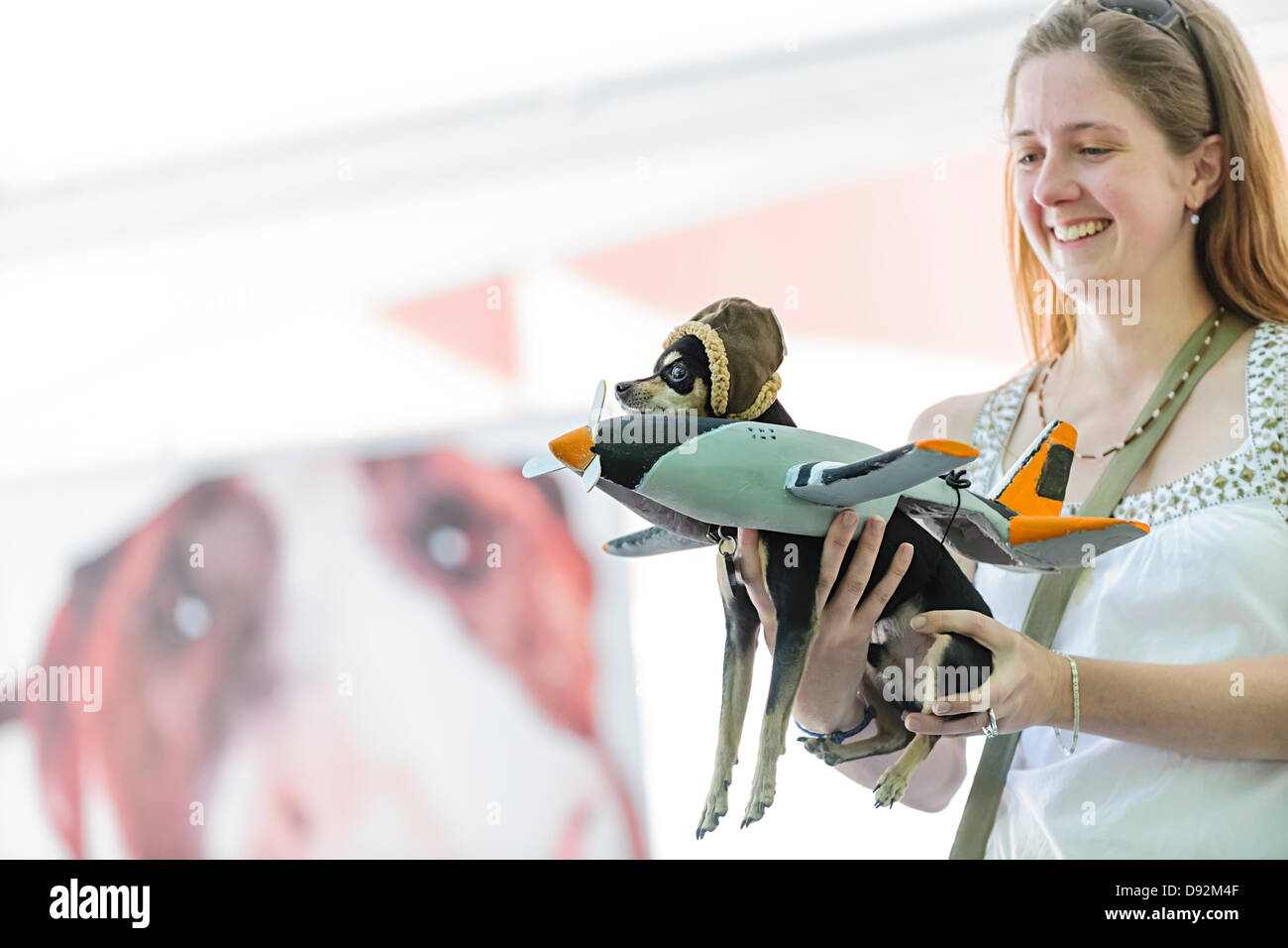 Dog plane costume hires stock photography and images Alamy