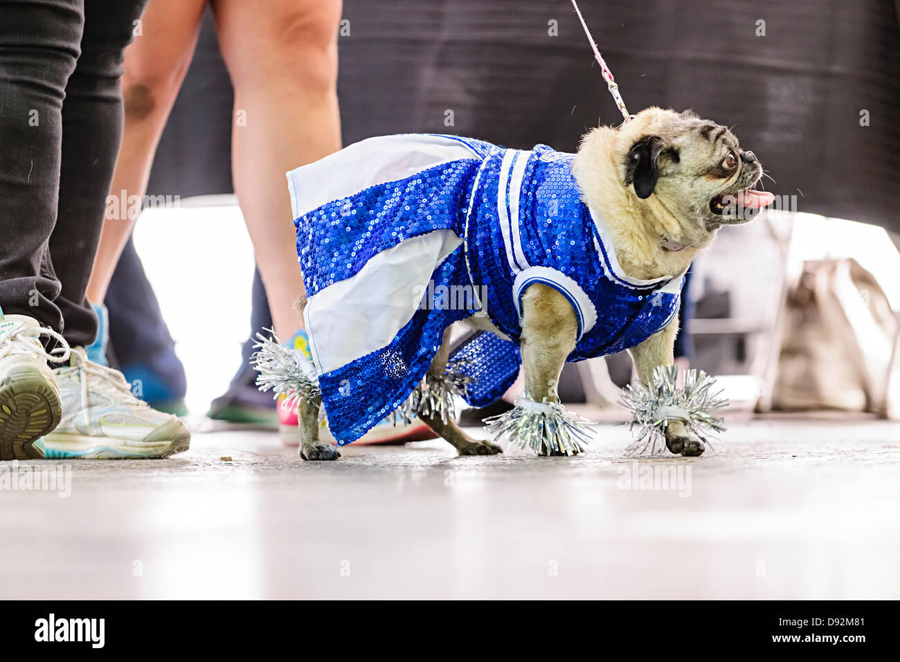 Cheerleader costume hires stock photography and images Alamy