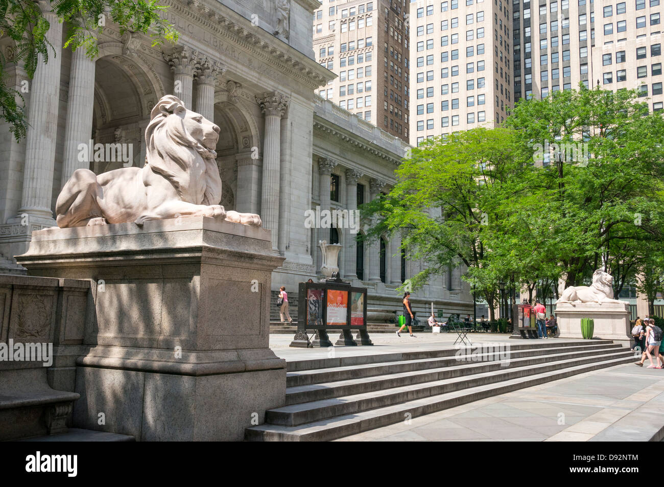 New York Library, Lion Statue, New York Print, Black and