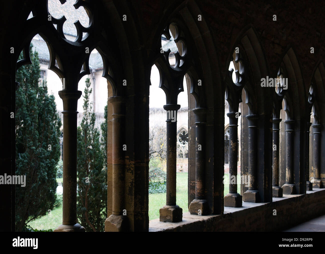 dynamic detail of a cloister with cross-coat in Colmar (Alsace/France) with view into the cloister garden Stock Photo