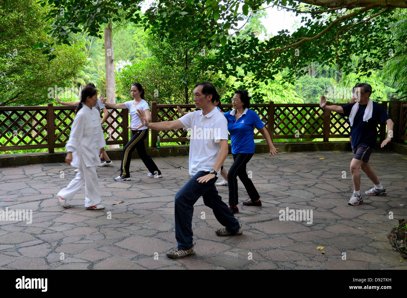Early morning Tai Chi exercise in park Stock Photo Alamy
