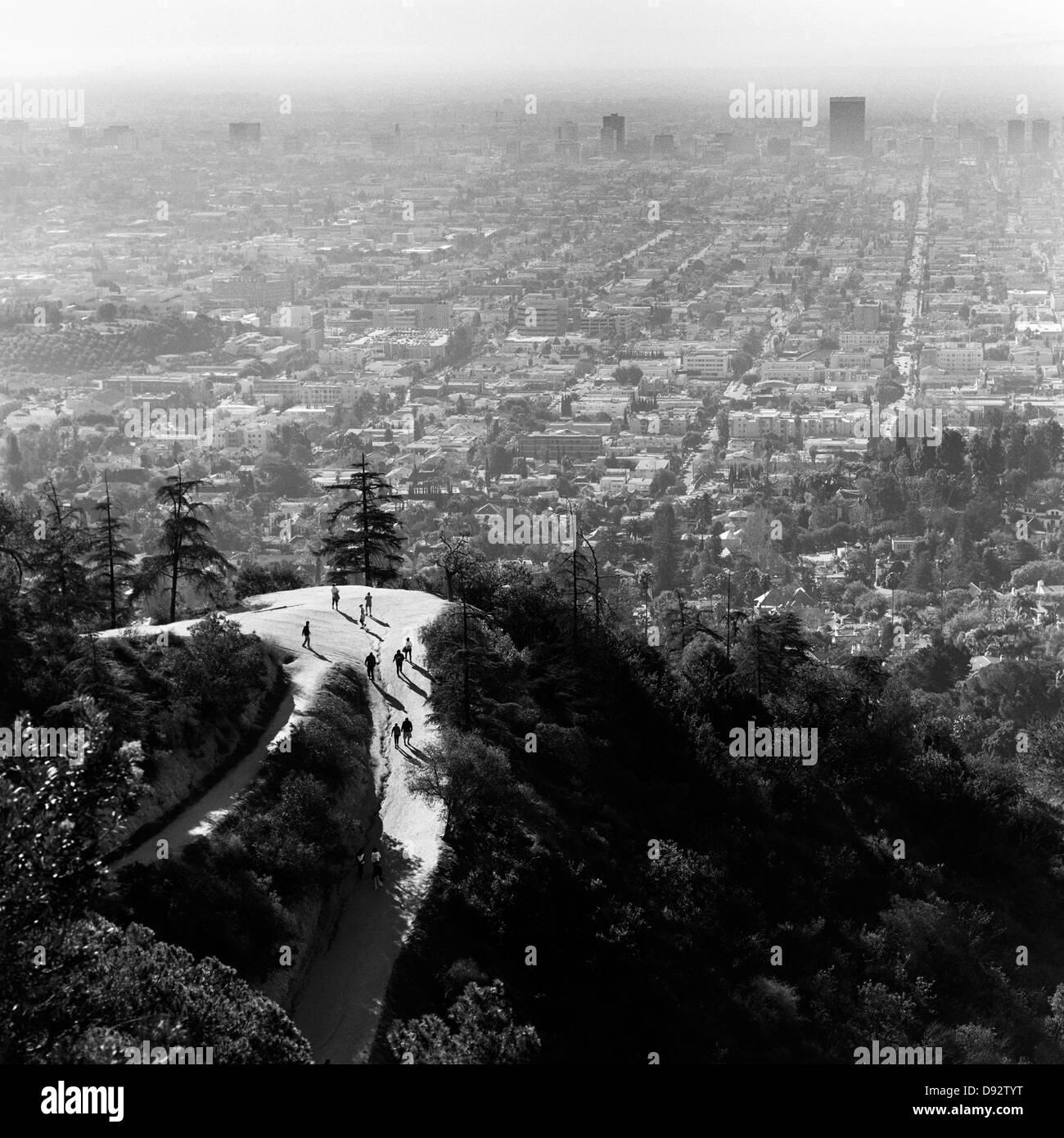 People walking up woodland hill with view of Los Angeles, California, USA Stock Photo