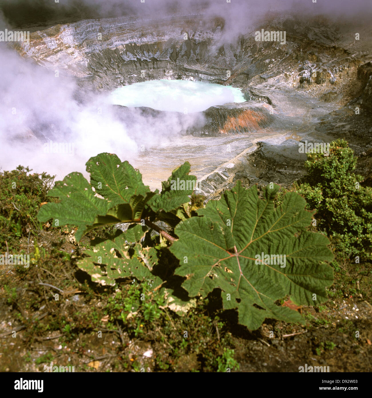 Steam rising from Poas Volcano, Alajuela, Costa Rica Stock Photo